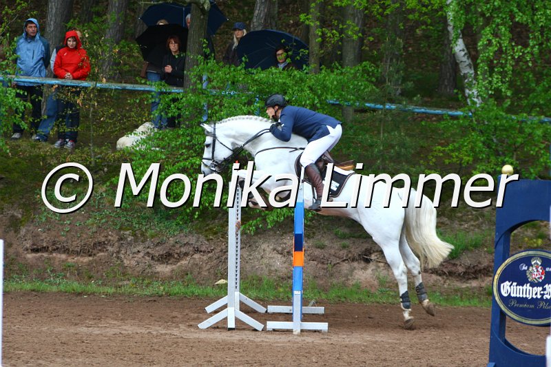 005L5285_Cincinatus_Spring M mit Stechen.JPG